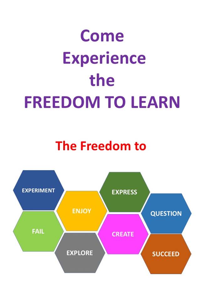 freedom to learn