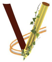 Vismaya Centre for Education and Research Pvt. Ltd